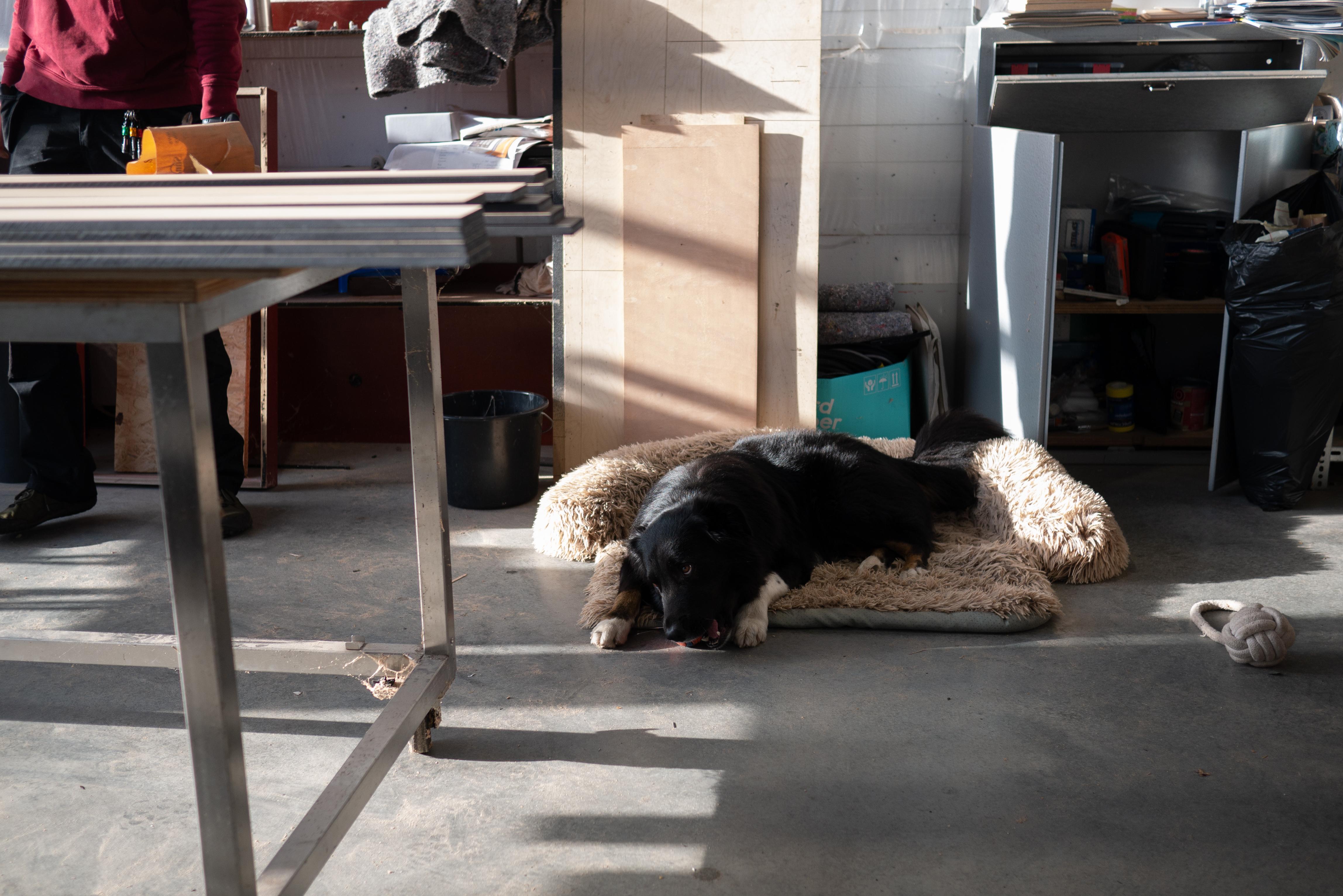 Proces afbeelding 3